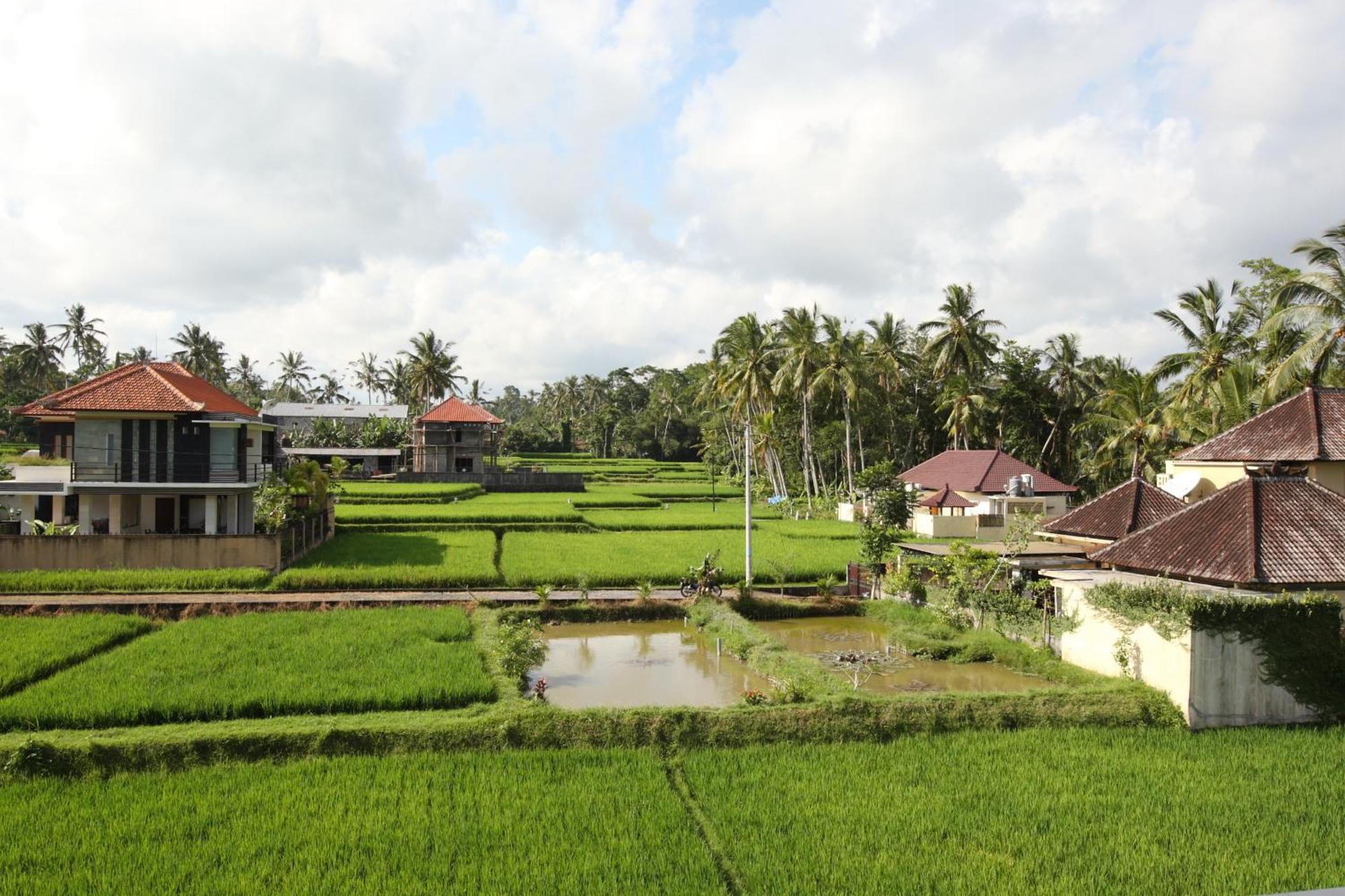 Swarapadi Villa Ubud Exteriér fotografie